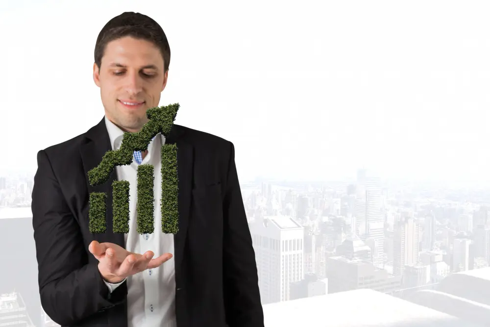 Importance of Capital Investment Plan