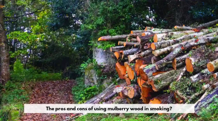 mulberry wood in smoking | Fusebay